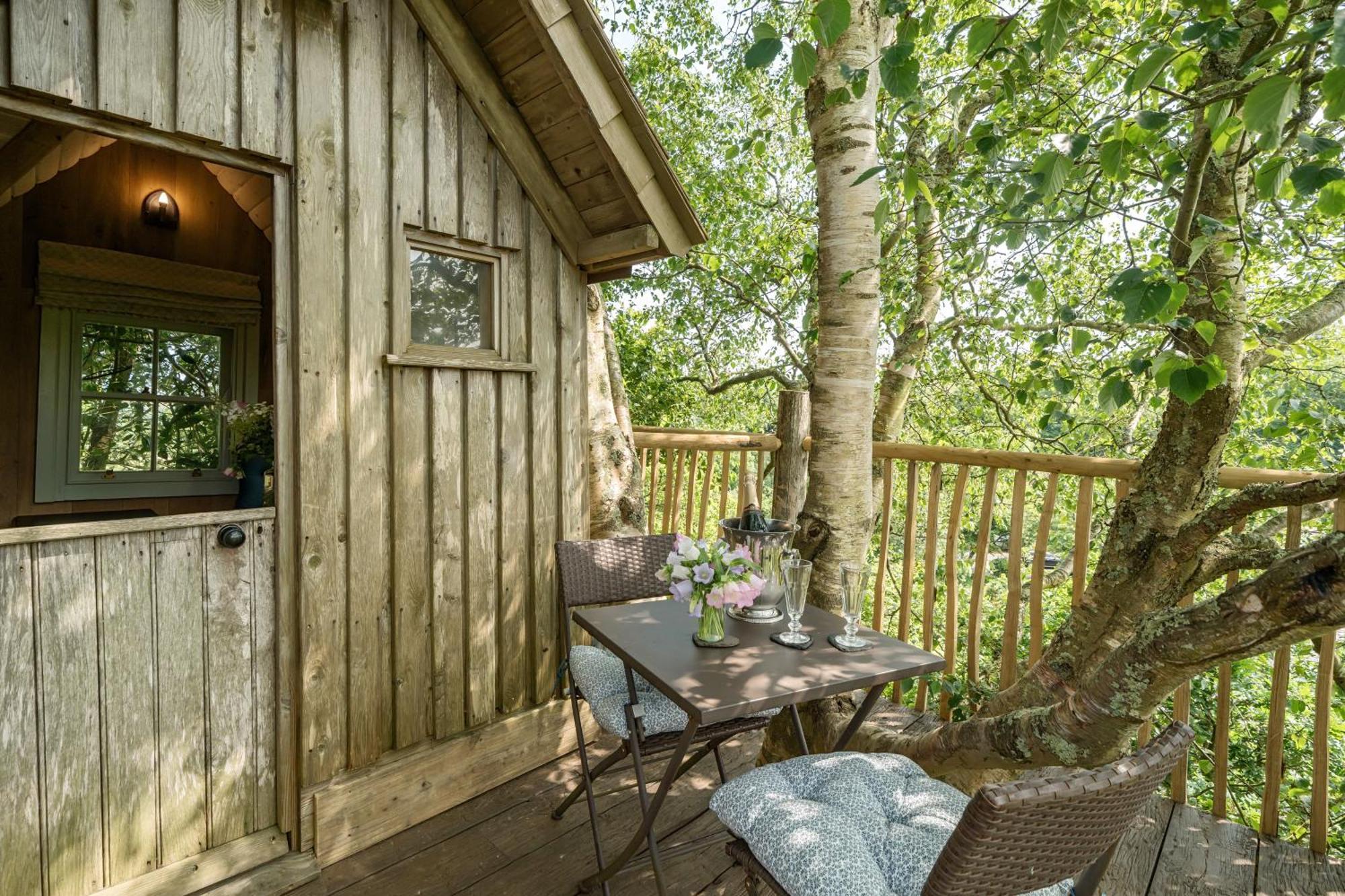 Вилла The Treehouse At Salcombe Farm Экстерьер фото